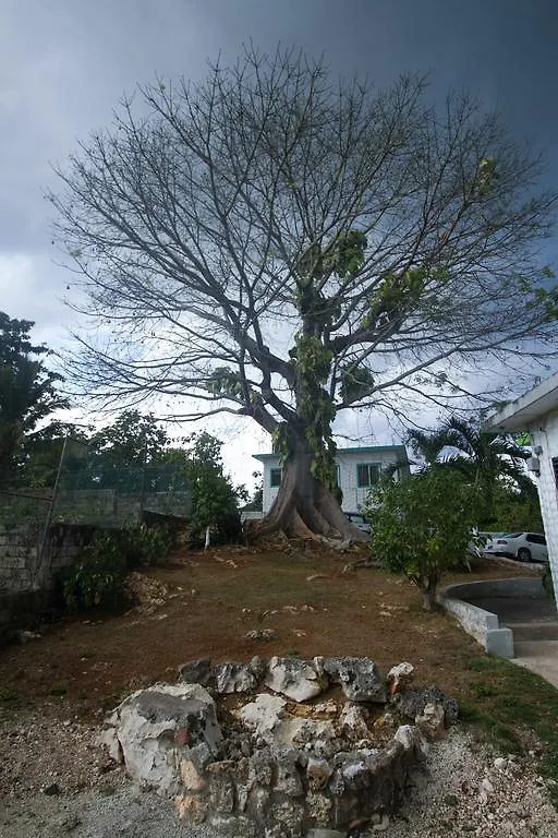 Villa Rocky Top Retreat Negril